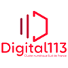 DIGITAL 113 Social logo